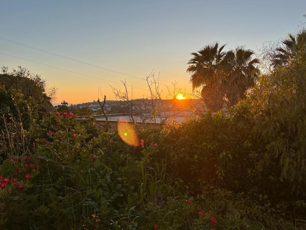 Villa Casa Porto Palo Esterno foto